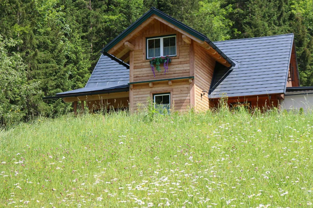 Forstauer'S Teichalm Villa Gams bei Hieflau Exterior foto
